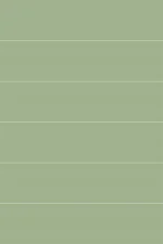 Floor and wall tile RAL 1307020 matt green 5x20 K95335580001VTE0